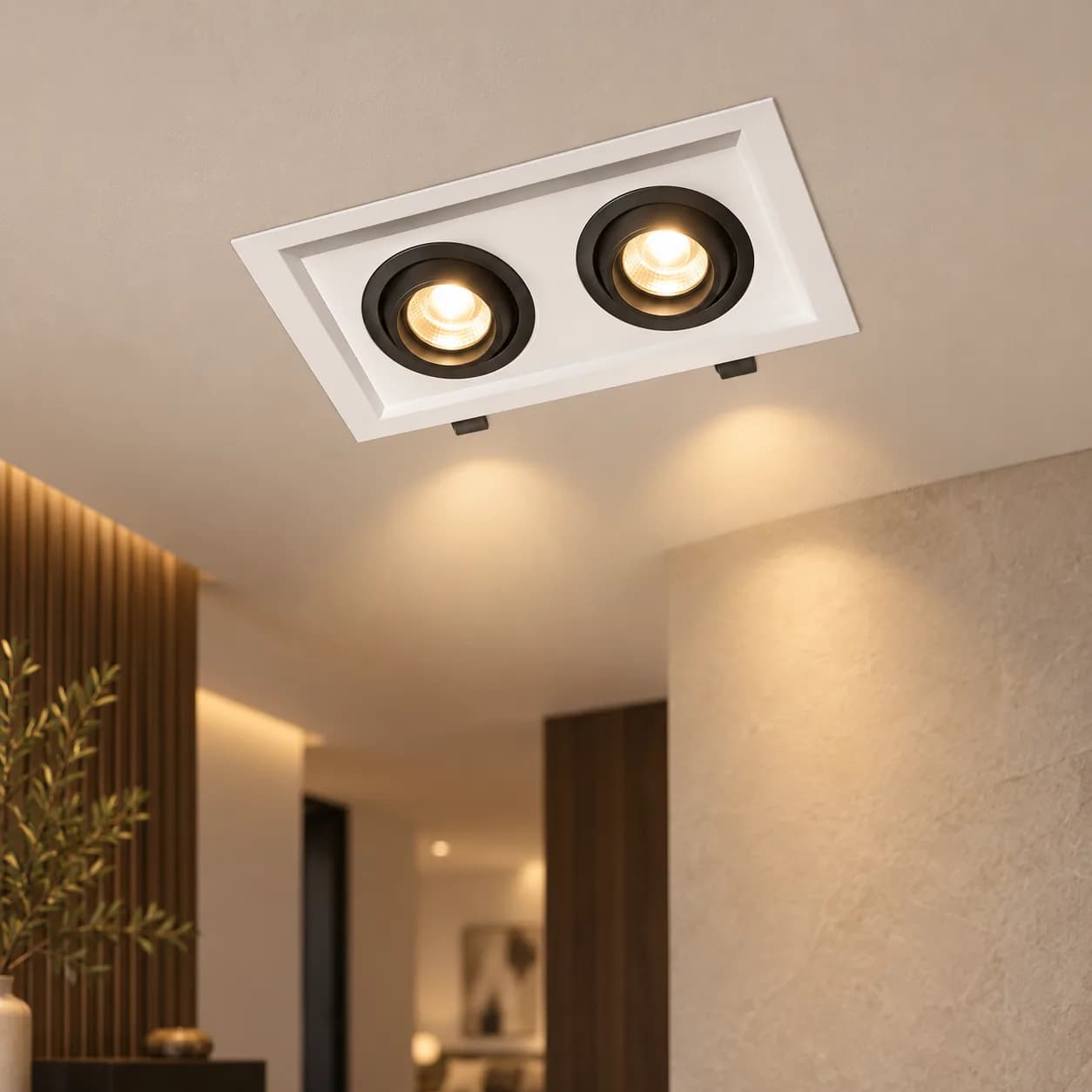 إطار سبوت لايت مزدوج أبيض وأسود 10×20 سم